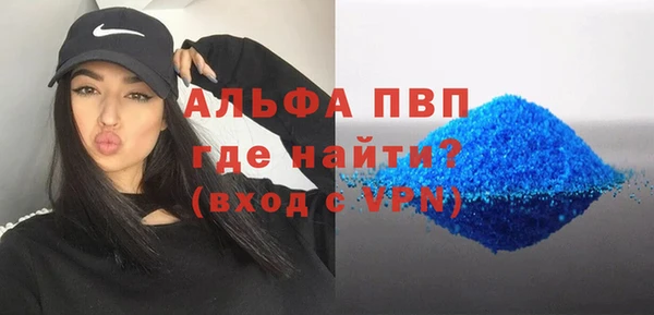 гидра Няндома