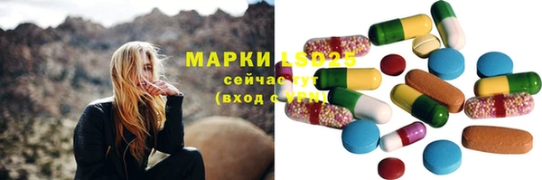 гидра Няндома