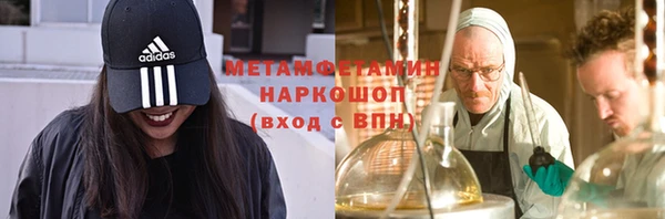 шишки Осташков