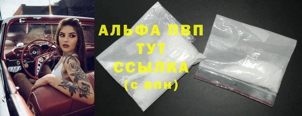 гидра Няндома