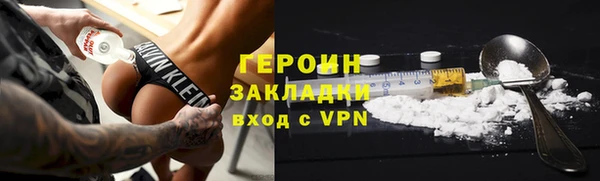 гидра Няндома