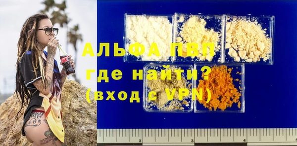 гидра Няндома
