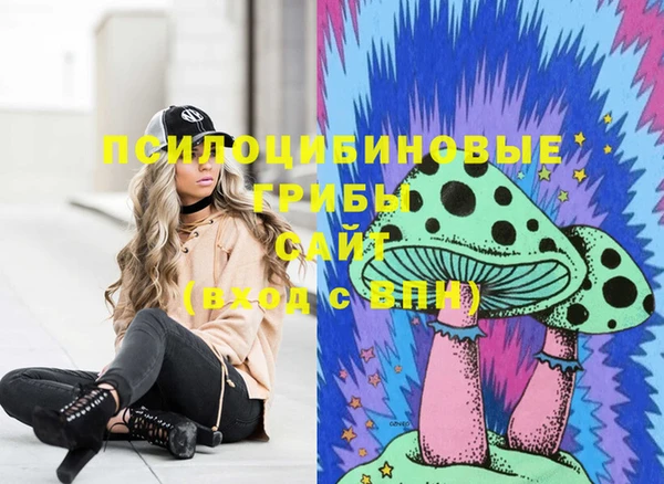 гидра Няндома